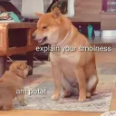 potatpotatpotat