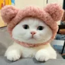 lovercilys