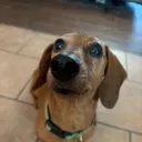 nadobozo