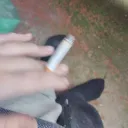 makaronish
