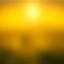 sp4ded_acee