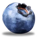 1blooberry