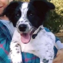 avatar 𝐄𝐥𝐲𝐬𝐞 🚩