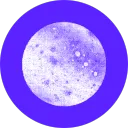 use_moon