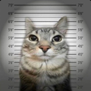 avatar Illegal Immigrant (Arab)