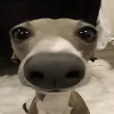 Аватар vikeys2