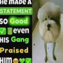 avatar jasnoniebieskieeed