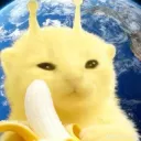 corcious