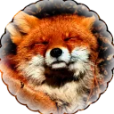kaelunyx