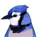 tuftyy_