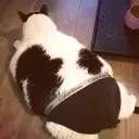 issac_noesinsano avatar