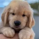 gary.bites
