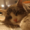 love_is_felix