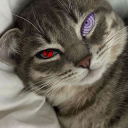 avatar 𝓜𝓮𝓵𝓲𝓪*ੈ✩‧