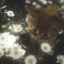 te4rdropletz
