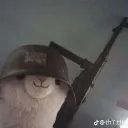 nk_zim