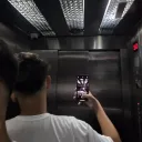 eusou_perfeito