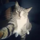 s0n9ow_wh_0000