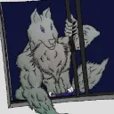 rojomig60 avatar