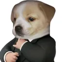 trustingbard