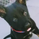 jorgegameplay1412 avatar