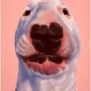 awndr