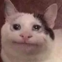 martin._.2865 avatar