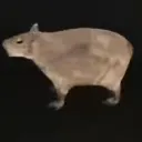 tanjirokamado8084 avatar