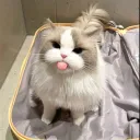 aramsamsamaramsamsam._