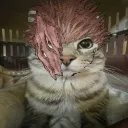 looker._.