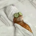 kartelxnagebaet avatar