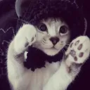 babinbabona