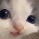 paper