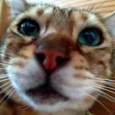 Аватар jhm_100