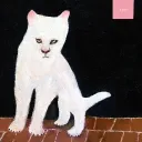 francuzxc