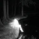 Аватар wallpapessss