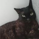 avatar asiudiuahwuidhasjhndjibauzwbdabs