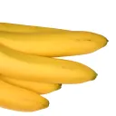 insertgoodusername7284