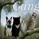 trueimnotlying. avatar