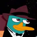 javida_letsgo
