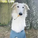 smurfz24