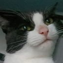 kitku member profile picture