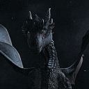 avatar 🪼Paris🌊🐟