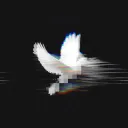 7origin avatar