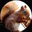 christiansquirrel