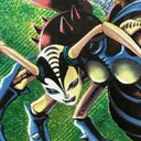 Tom's Avatar