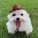 avatar ⁿᵒʷᵃʸˢᵃʳʷ