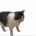 avatar ⛧Gwyneth⛧