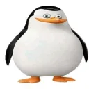 zusho_tt avatar