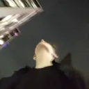 limewisp